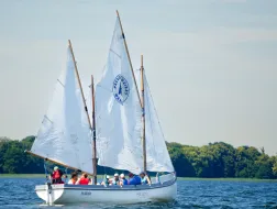 Pieczarki wakacje 2026 lama 186 29.06