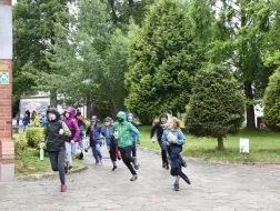 Pieczarki wakacje 2026 lama 186 07.07