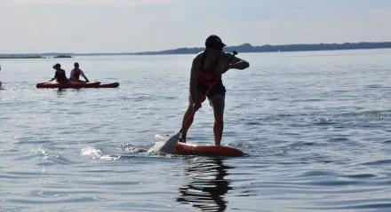 Pieczarki 2025 Sup