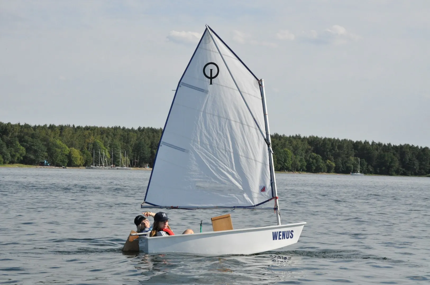 Pieczarki 2025 Żagle