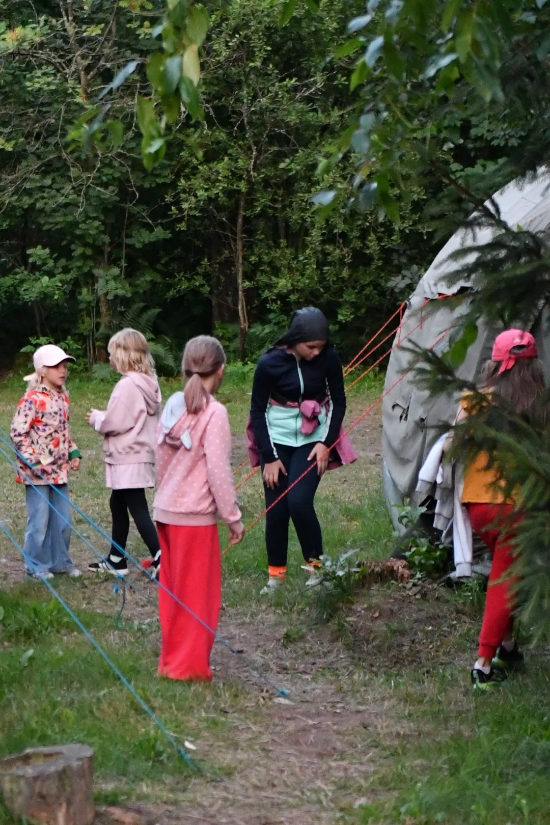 PIECZARKI LAMA 188 Górka Pełna Wrażeń