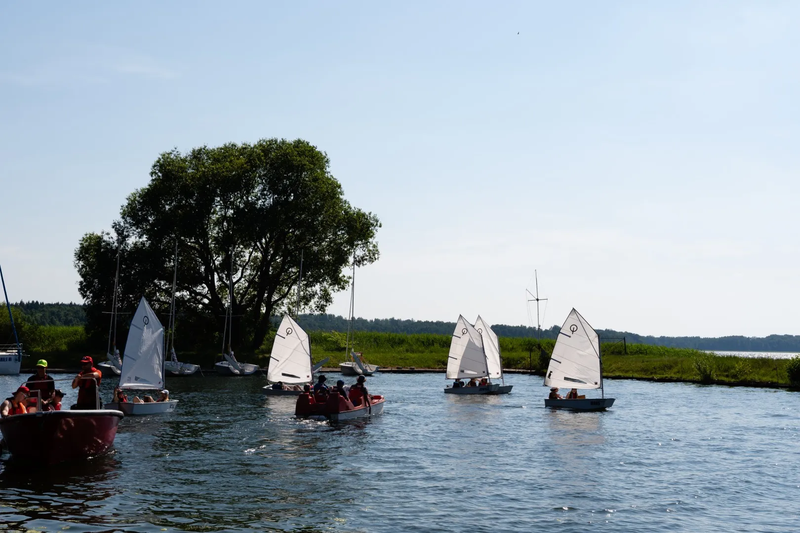 Pieczarki wakacje 2026 lama 186 29.06