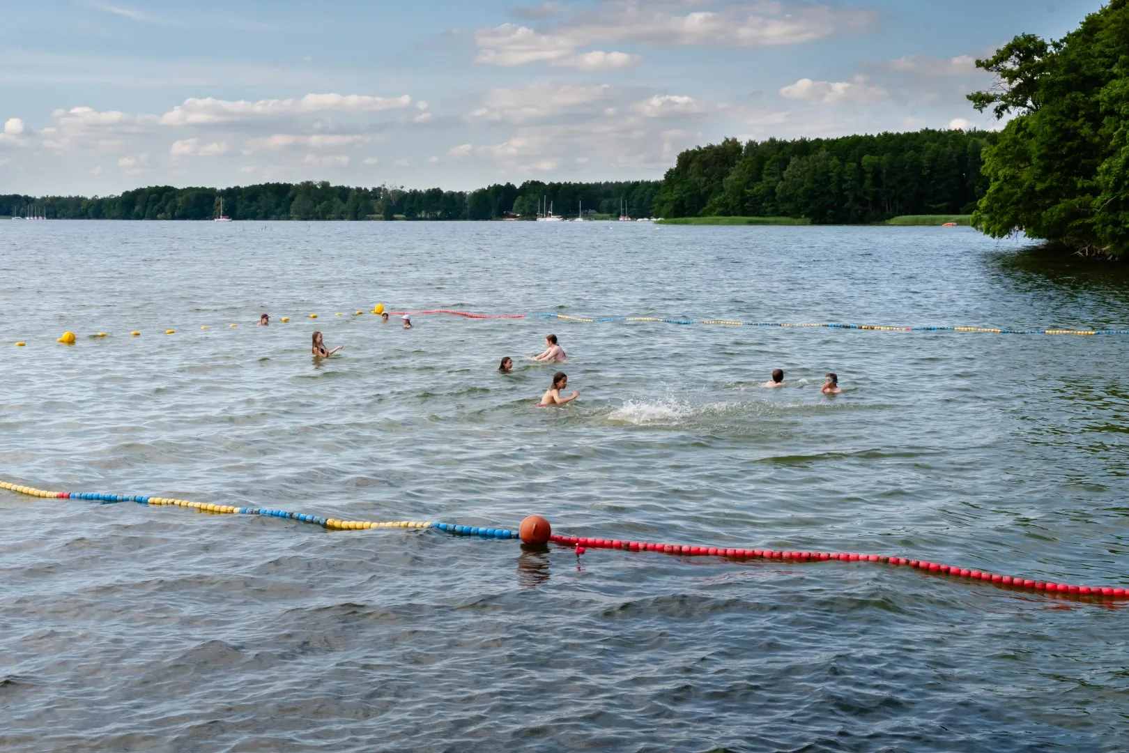 Pieczarki wakacje 2026 lama 186