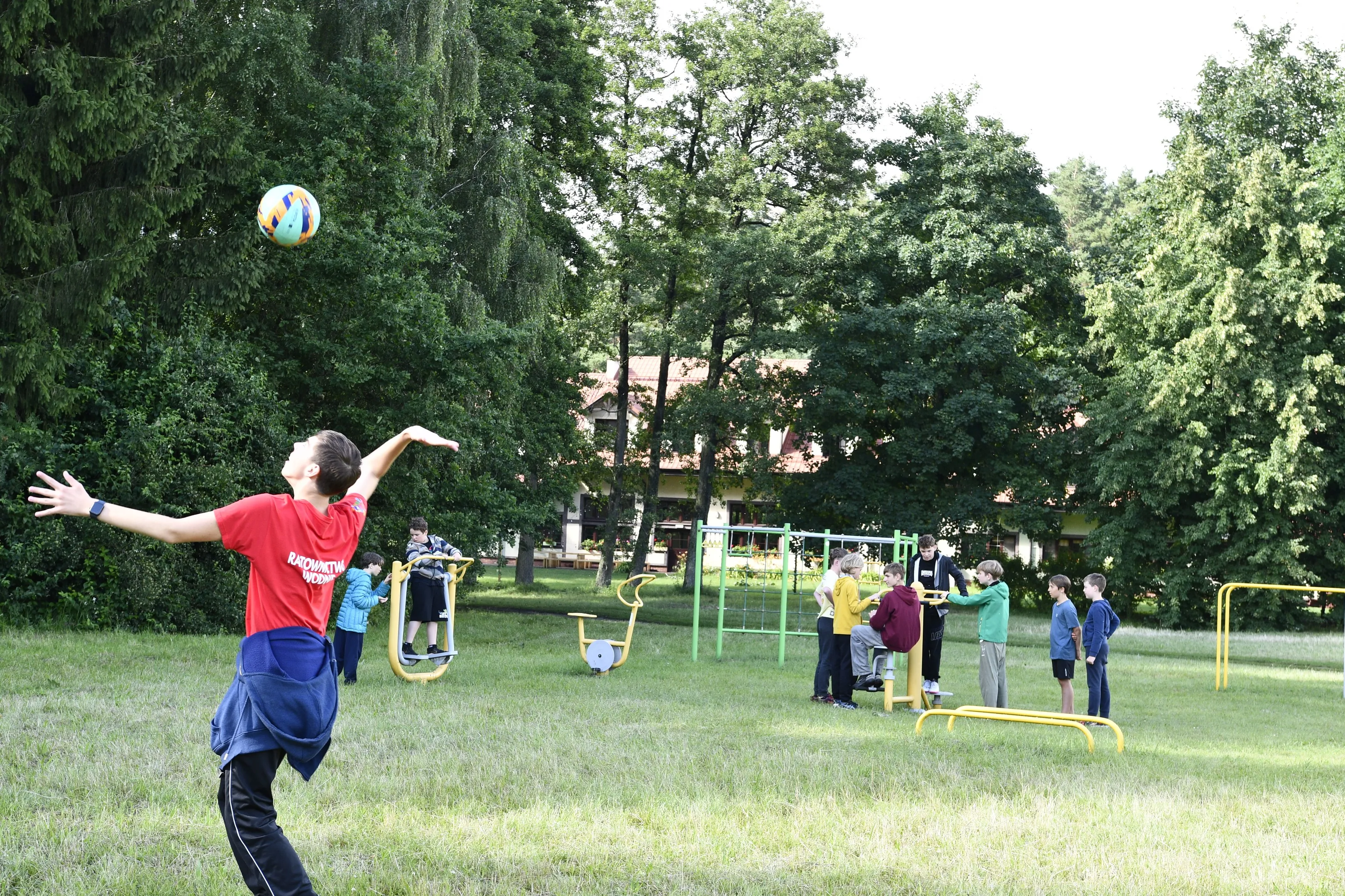 Wakacje Pieczarki 2026 lama 186 10.07