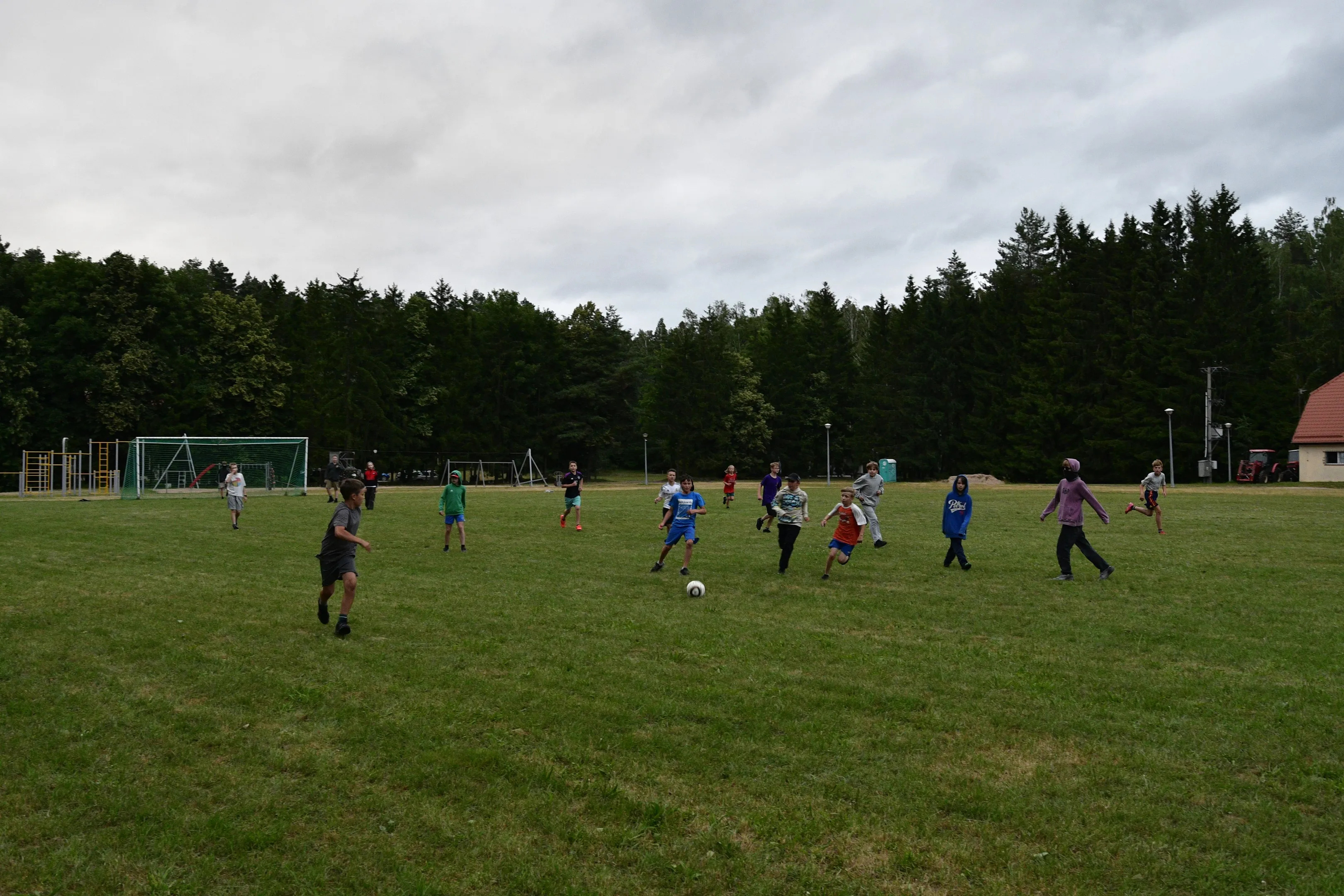 Pieczarki wakacje 2026 lama 186 03.07