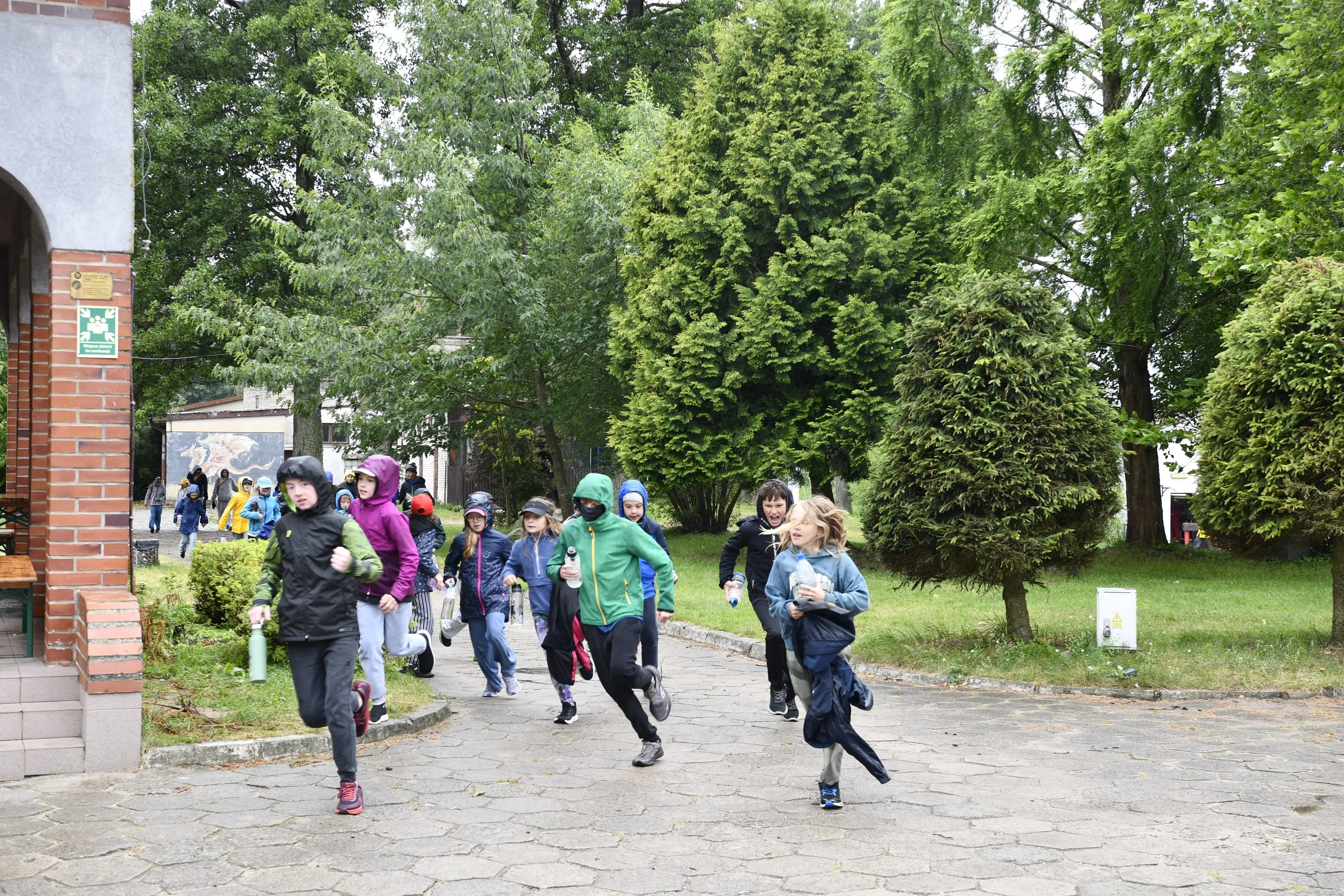 Pieczarki wakacje 2026 lama 186 07.07