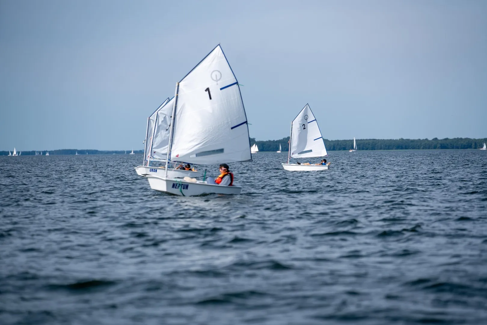 Poniedziałek 10 sierpnia 2026 LAMA 189