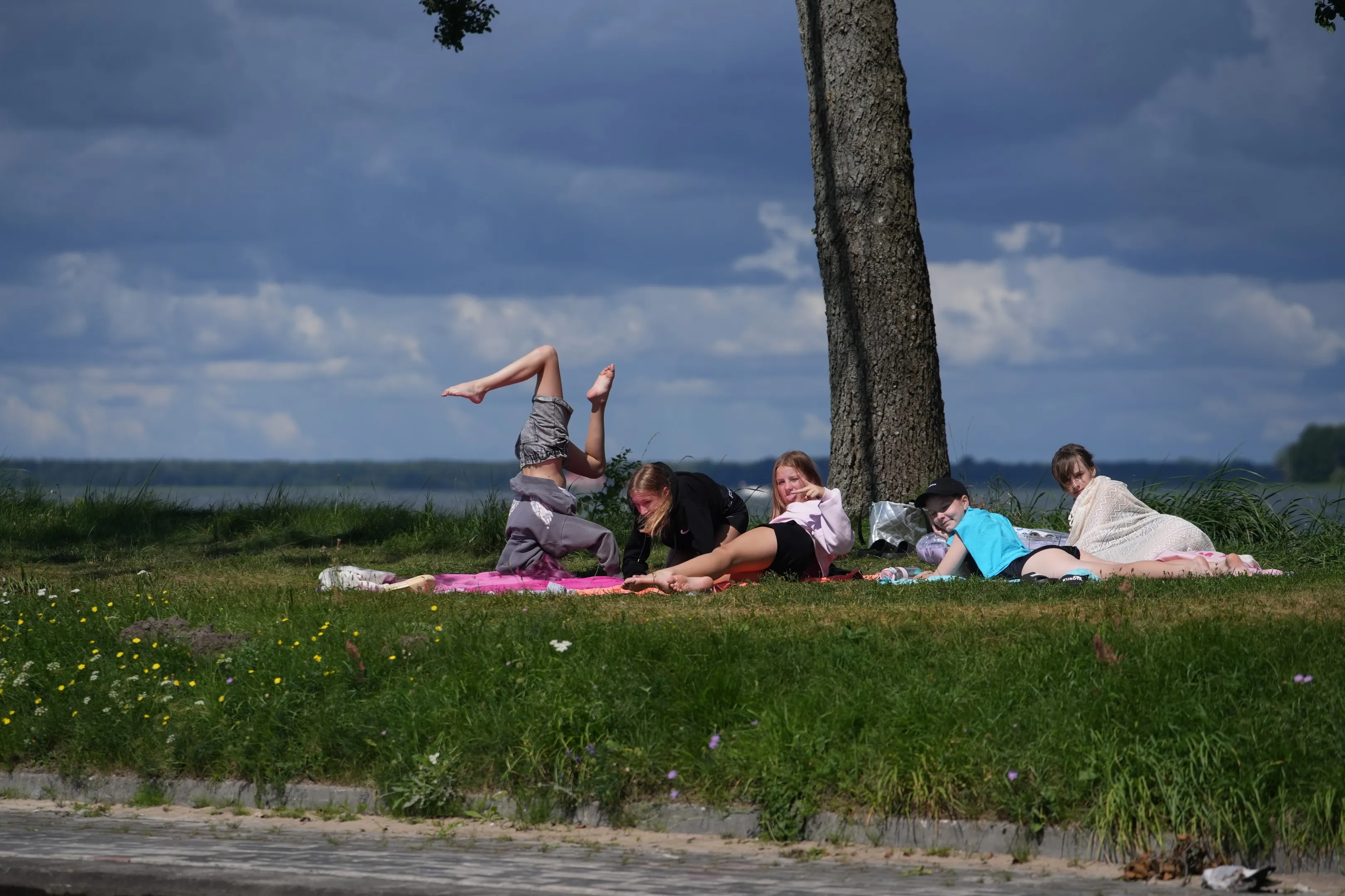 Środa 12 sierpnia 2026 LAMA 189