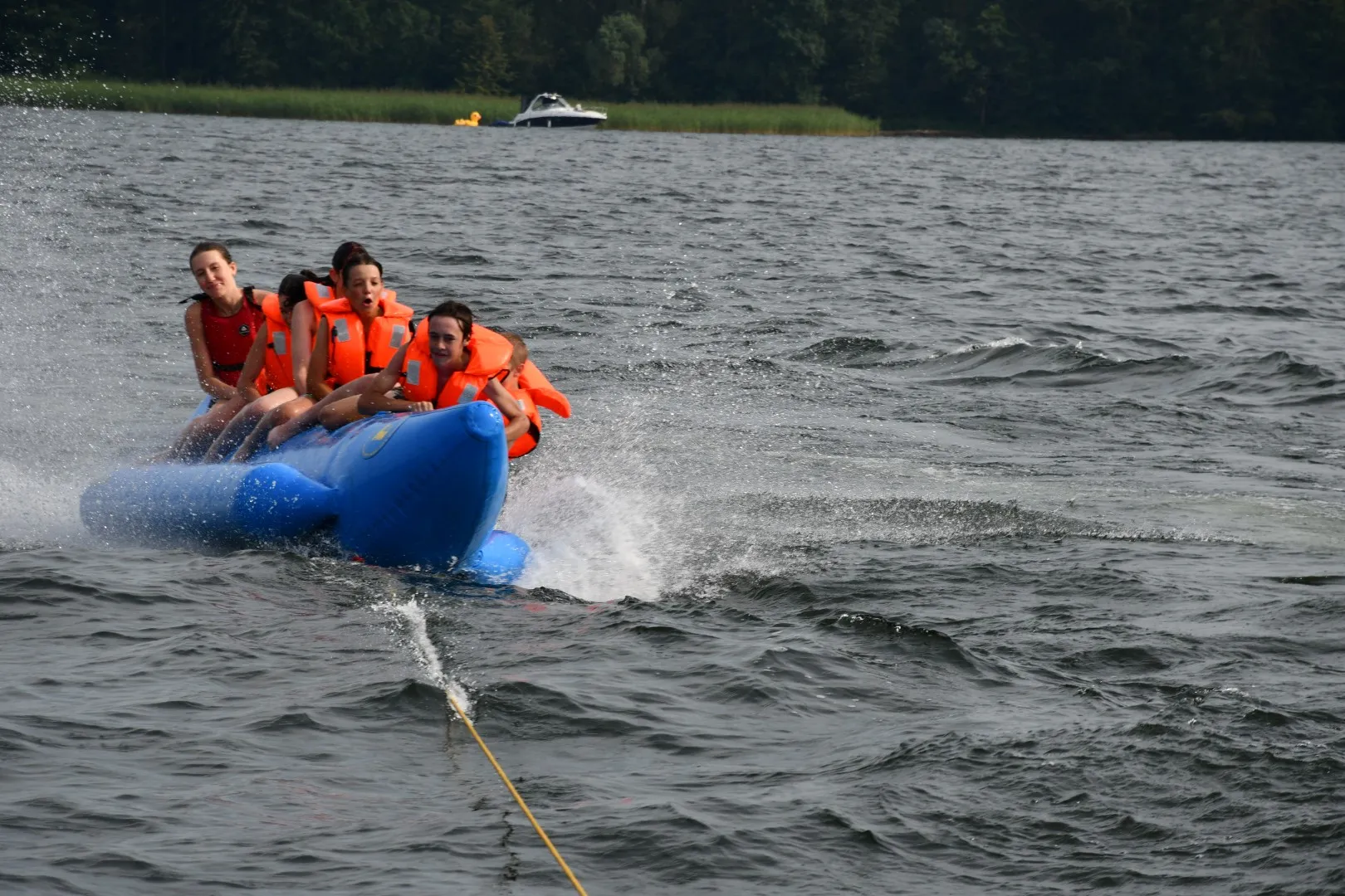 Pieczarki Lama 188 Pływanie na bananie