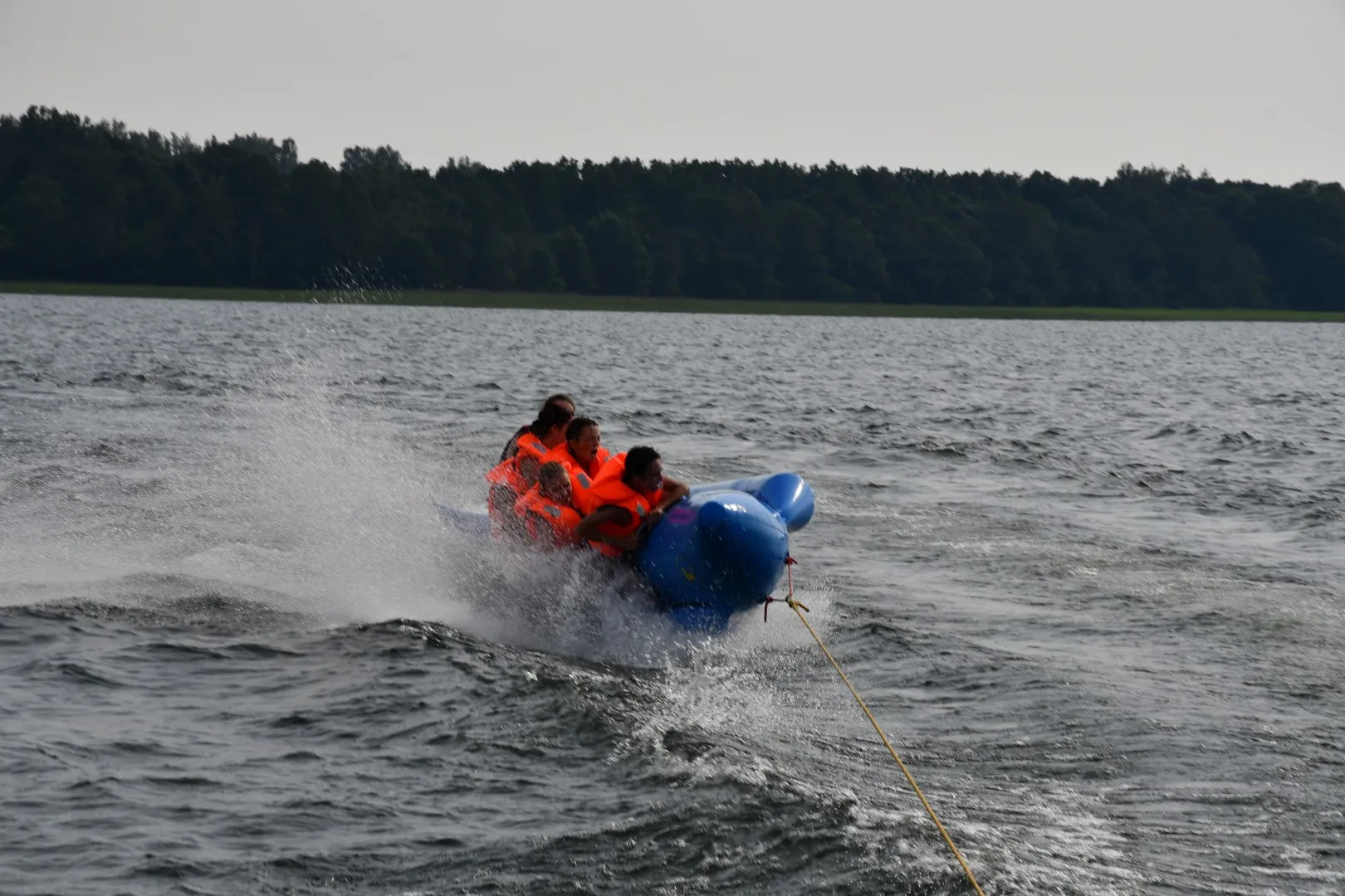 Pieczarki Lama 188 Pływanie na bananie