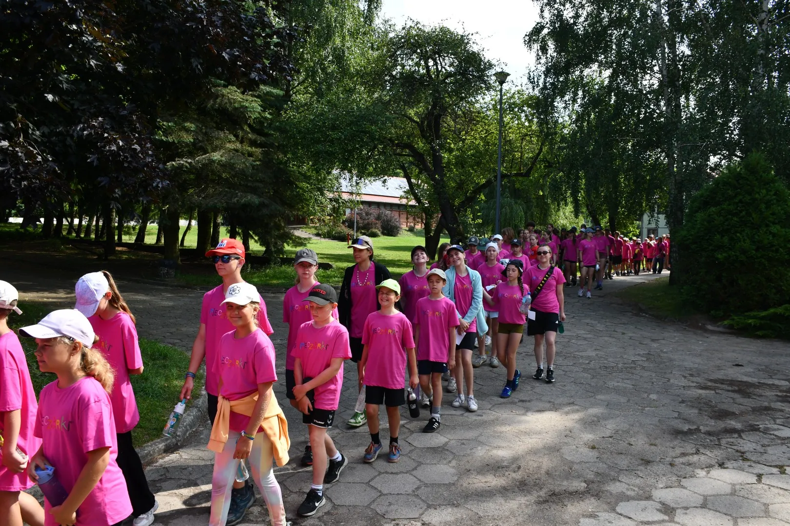 Pieczarki LAMA 188 Igrzyska Olimpijskie