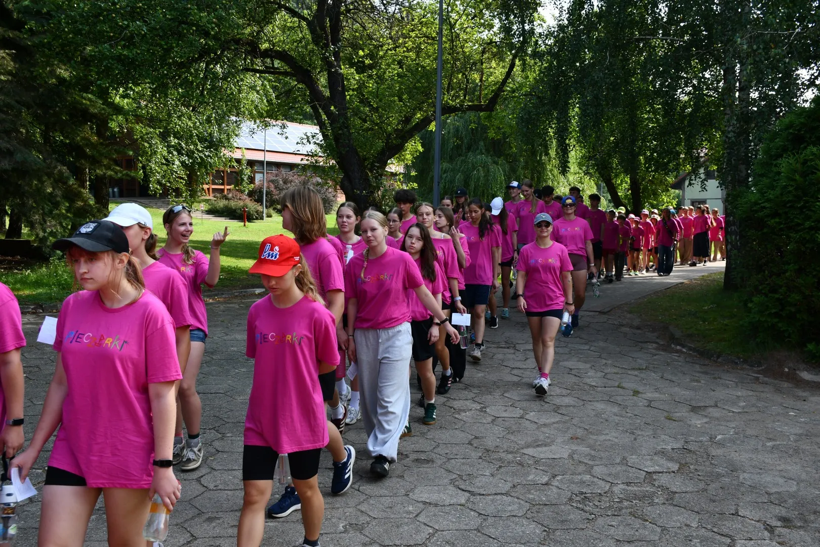 Pieczarki LAMA 188 Igrzyska Olimpijskie