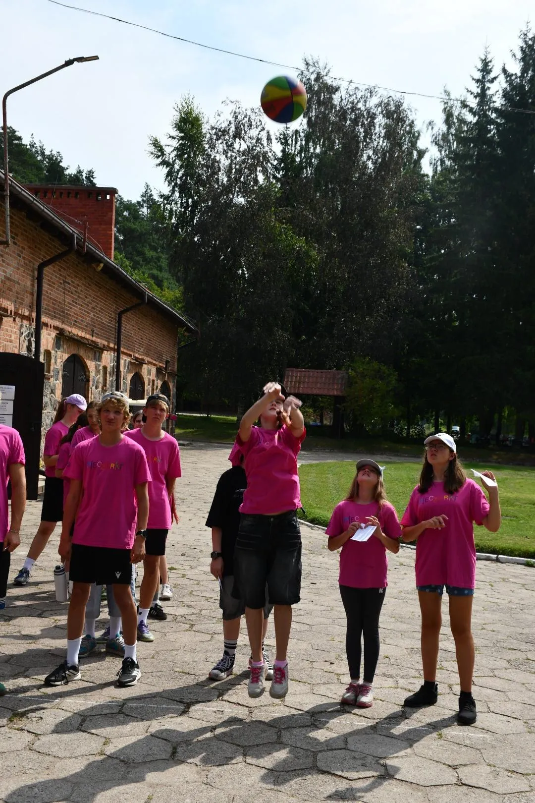 Pieczarki LAMA 188 Igrzyska Olimpijskie