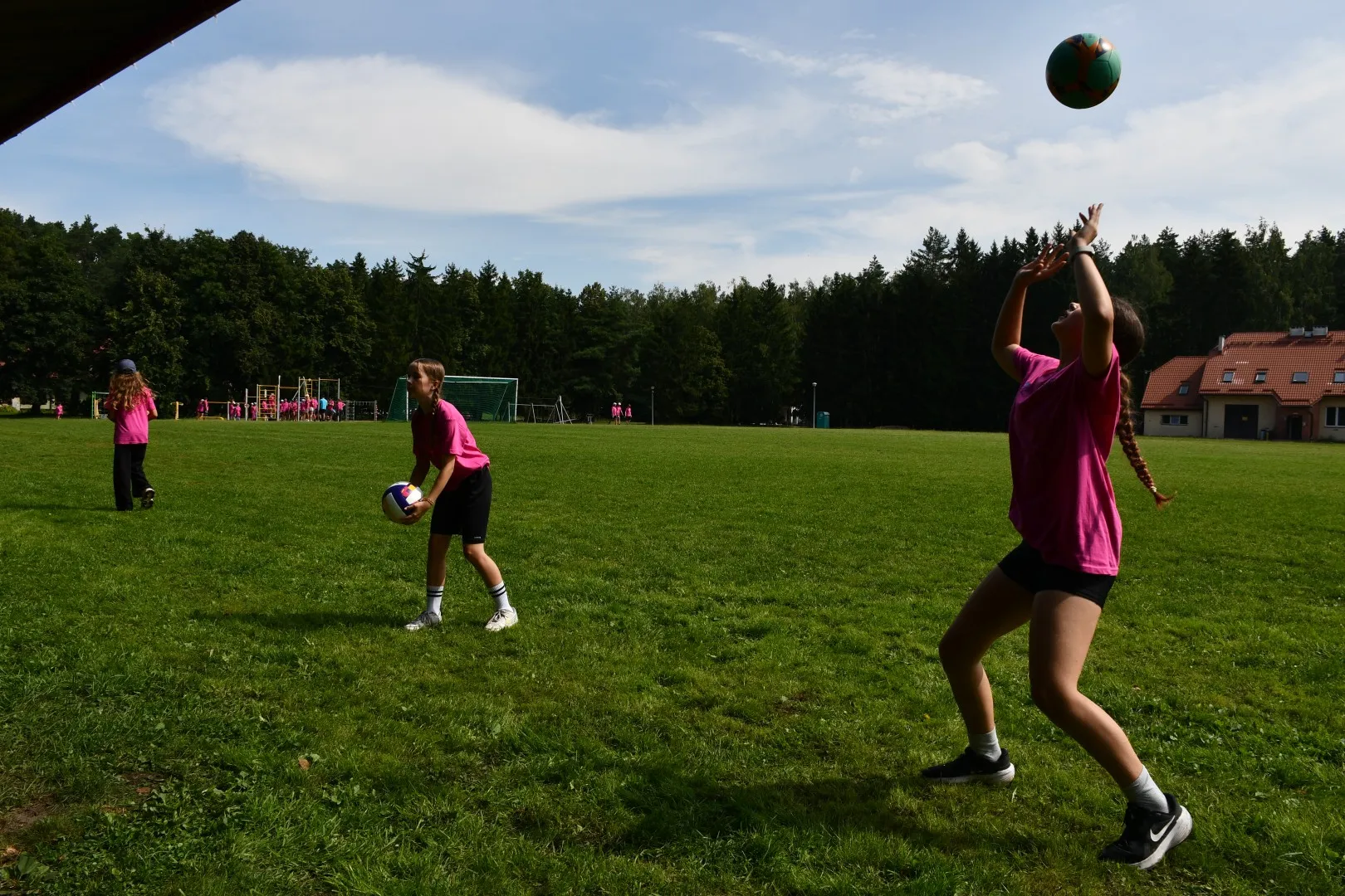 Pieczarki LAMA 188 Igrzyska Olimpijskie