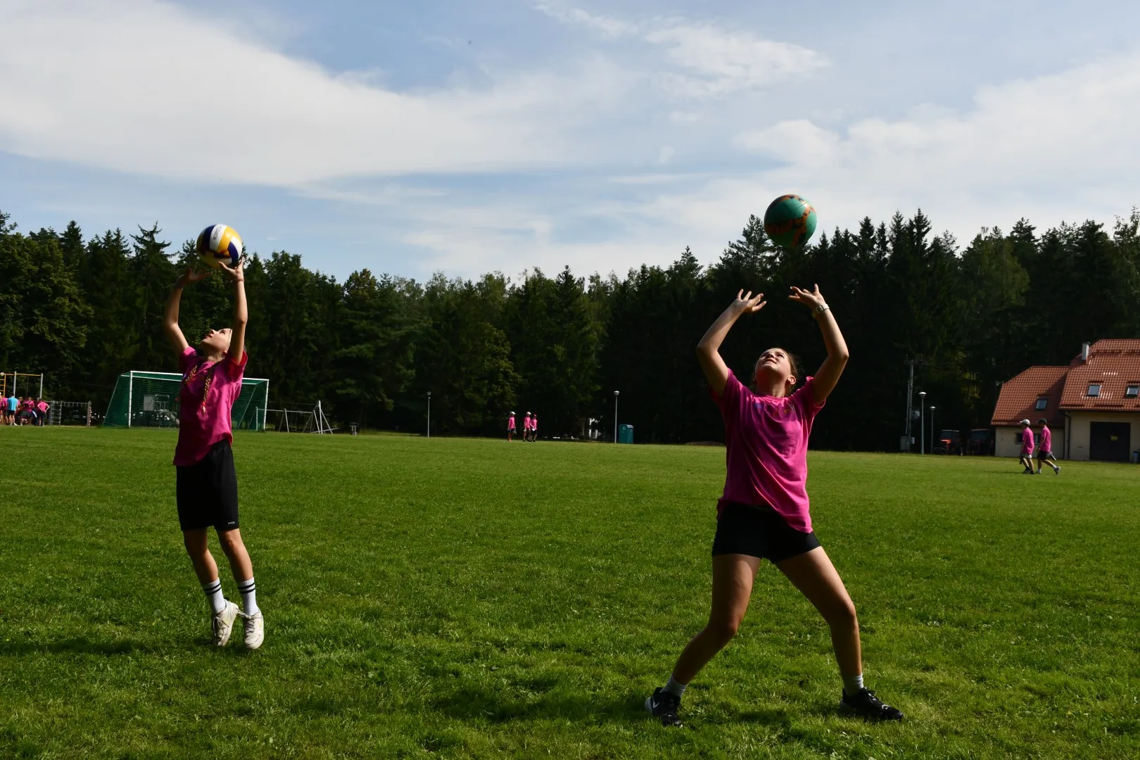 Pieczarki LAMA 188 Igrzyska Olimpijskie